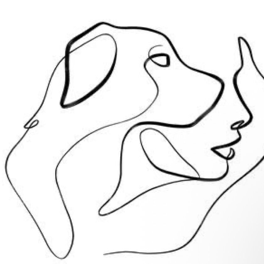 murietapawspa.com